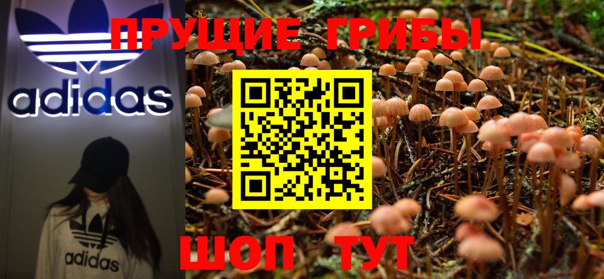 Псилоцибиновые грибы Psilocybe  Вход с VPN  Галлюциногенные грибы мицелий  Сегежа 